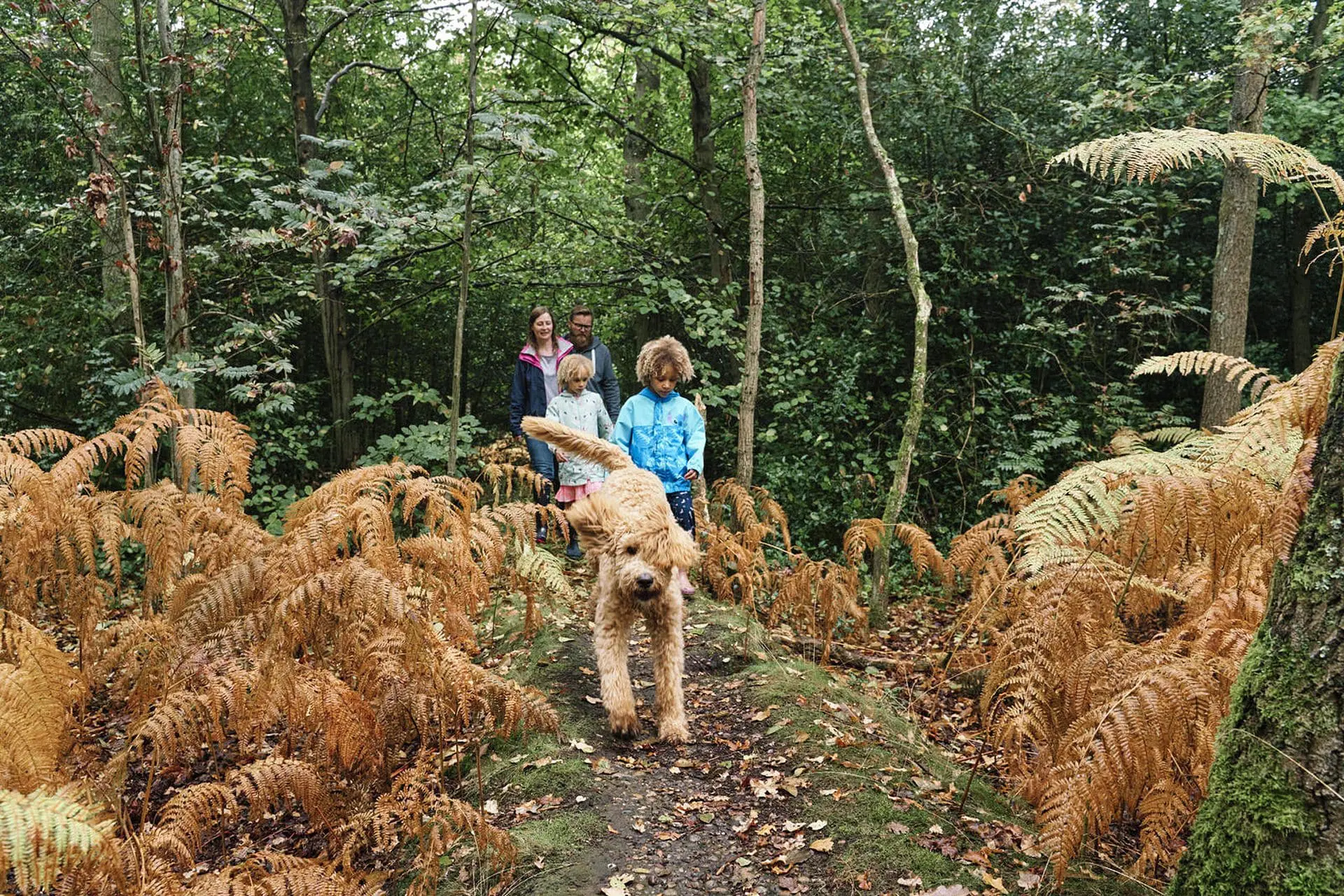 Candid family walking through woodland in Bromley — documentary family photography South-East London
