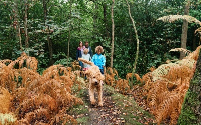 Family photography at Hayes Common, Bromley