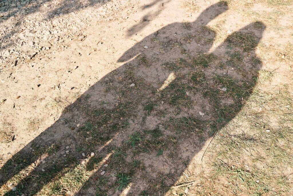 Shadows on the ground from mom and daughter during an outdoor family photoshoot